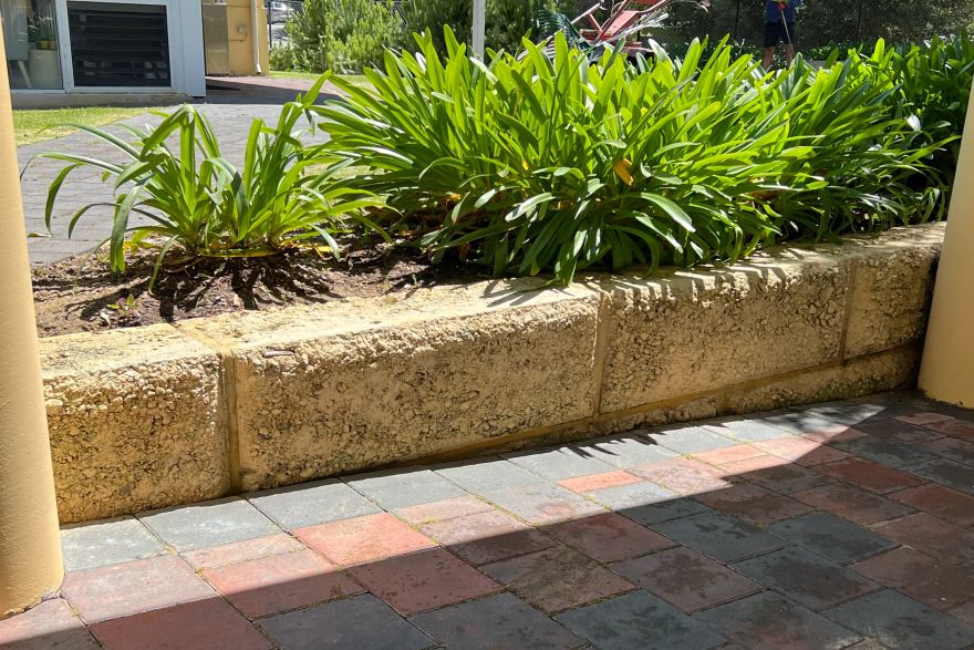 Before and after cleaning on limestone block: after