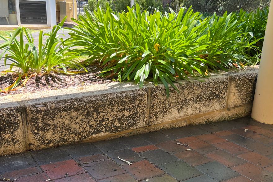 Before and after cleaning on limestone block: before