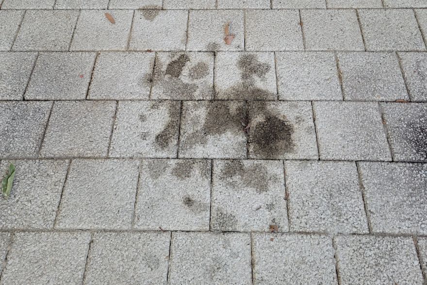 Before and after oil stains on brick pavers: before