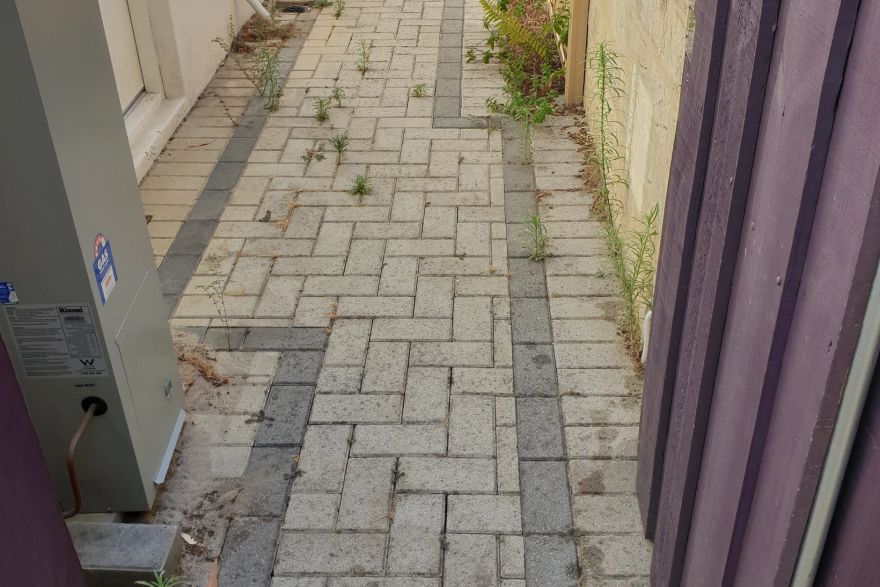 Before and after cleaning on brick pavers · Path: before
