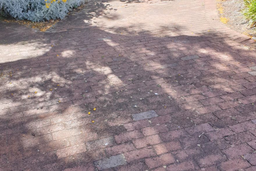 Before and after cleaning on brick pavers: before