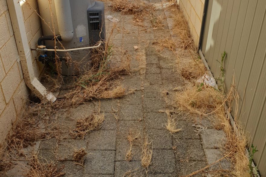 Before and after cleaning on brick pavers · Path: before