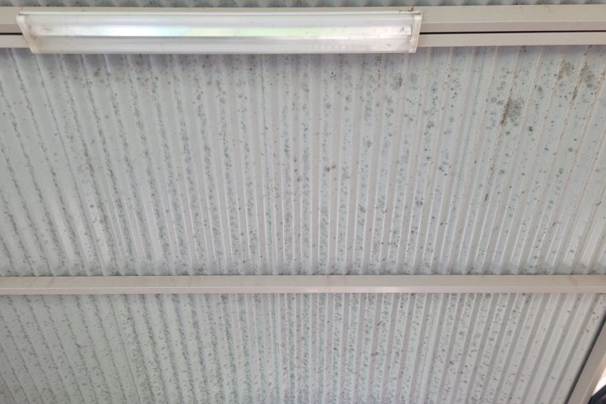 Before and after cleaning · Underside of patio: before