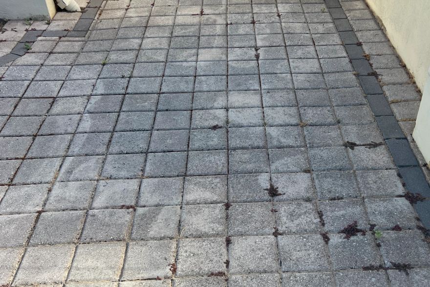 Before and after cleaning on brick pavers: before