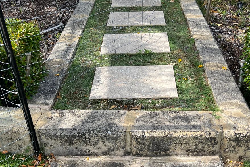 Before and after cleaning on brick pavers: before