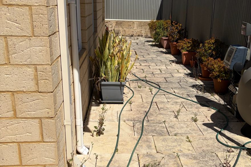 Before and after cleaning on sandstone pavers: before