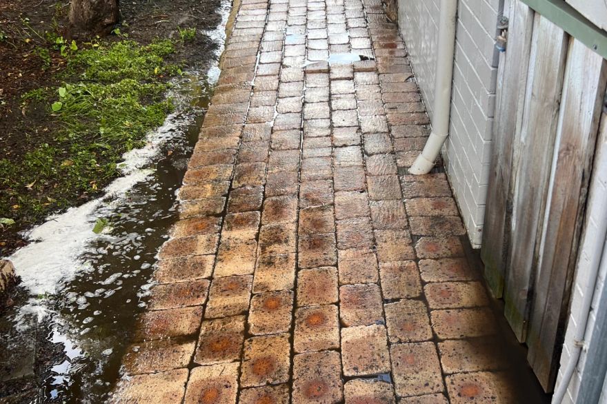 Before and after cleaning on brick pavers: after
