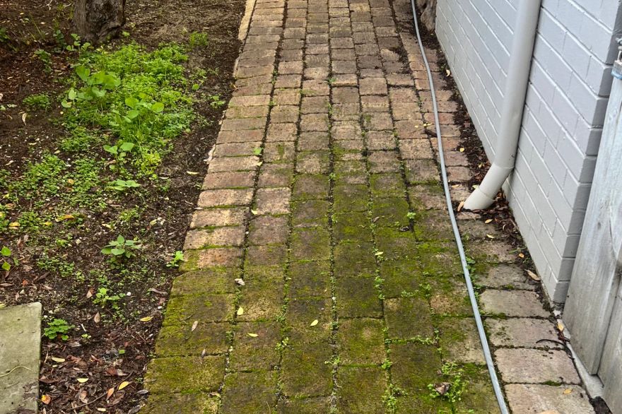 Before and after cleaning on brick pavers: before