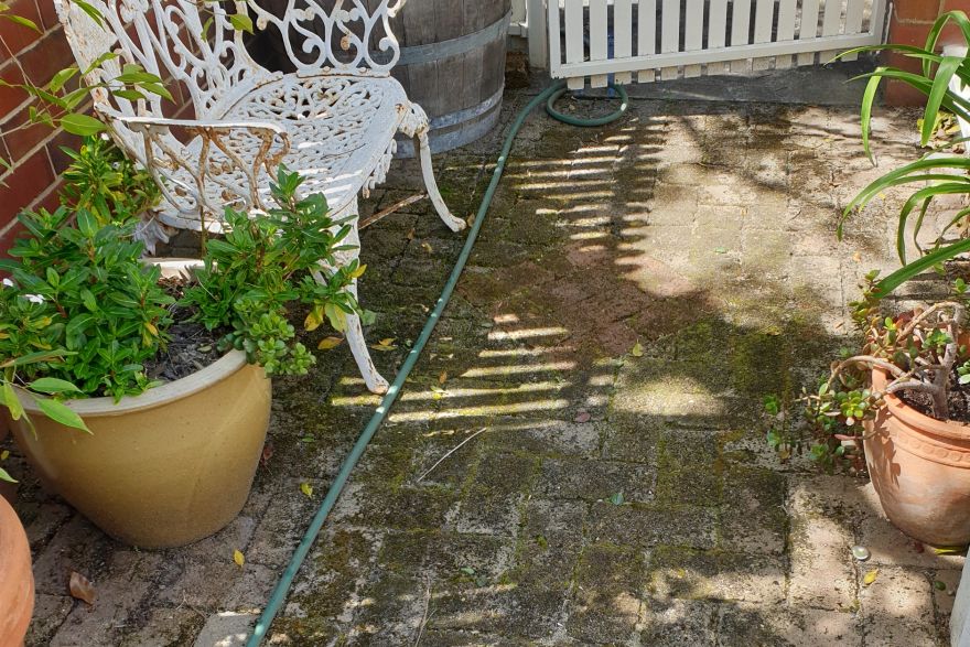 Before and after cleaning on brick pavers: before