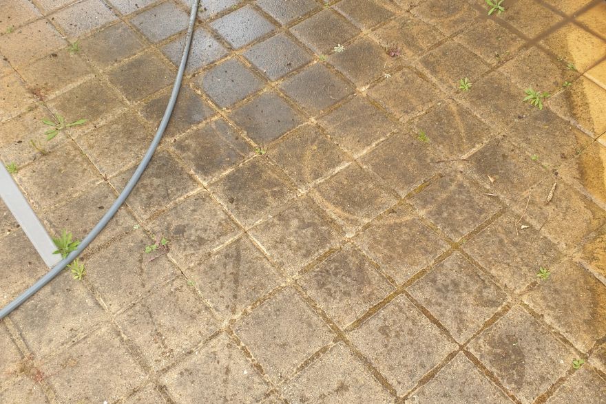 Before and after cleaning on brick pavers: before