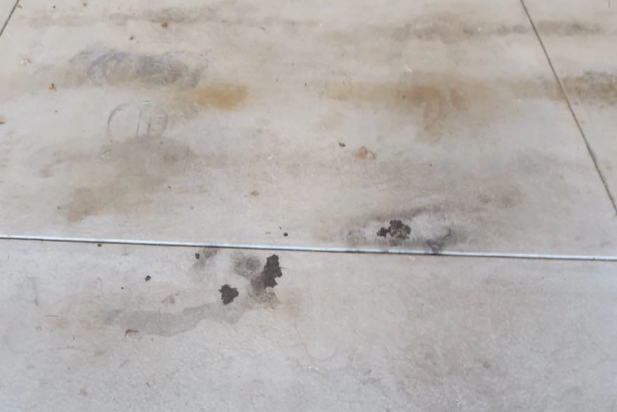 Before and after oil stains on concrete slab · Garage floor: before