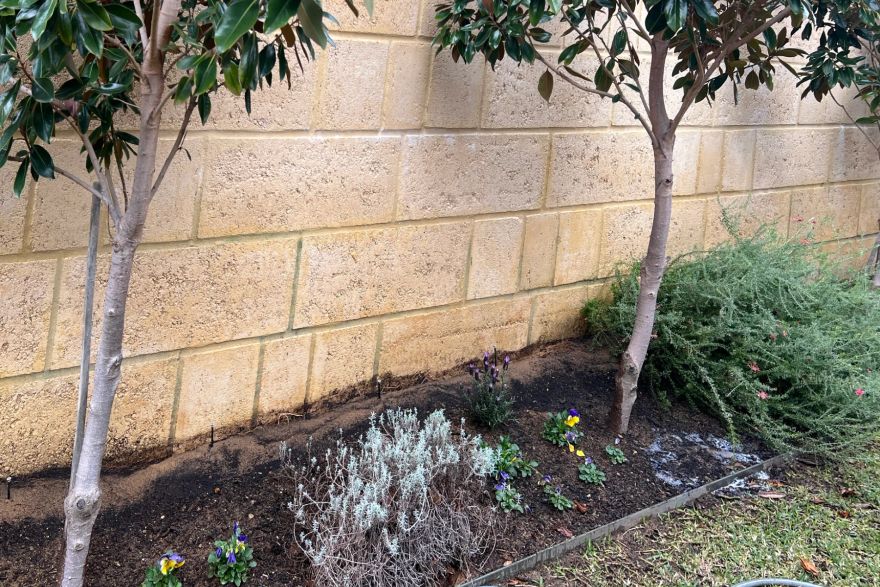 Before and after rust / bore stains: after