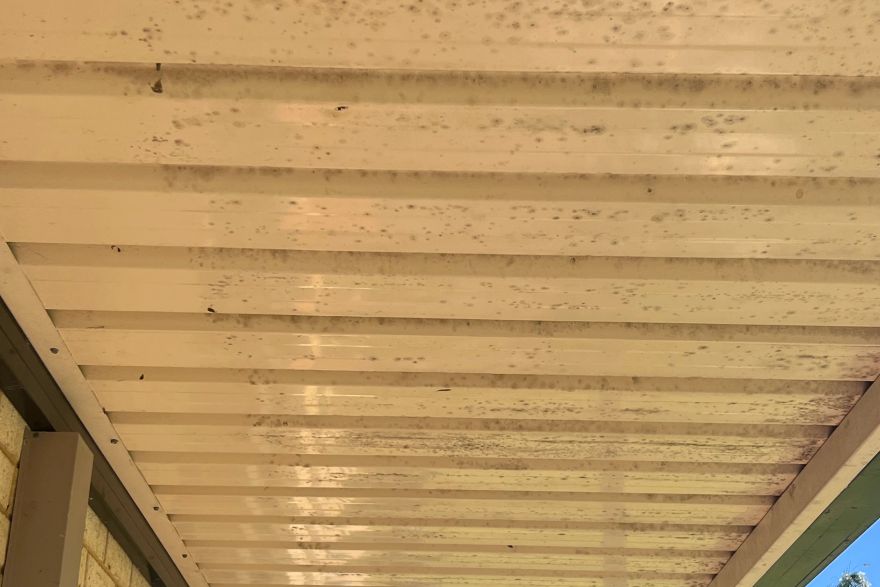 Before and after cleaning · Underside of patio: before