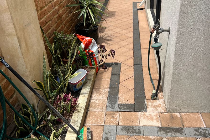Before and after cleaning on brick pavers · Side of house: after