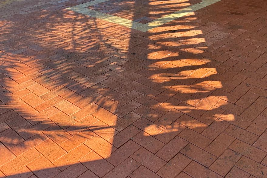 Before and after cleaning on brick pavers · Driveway: after