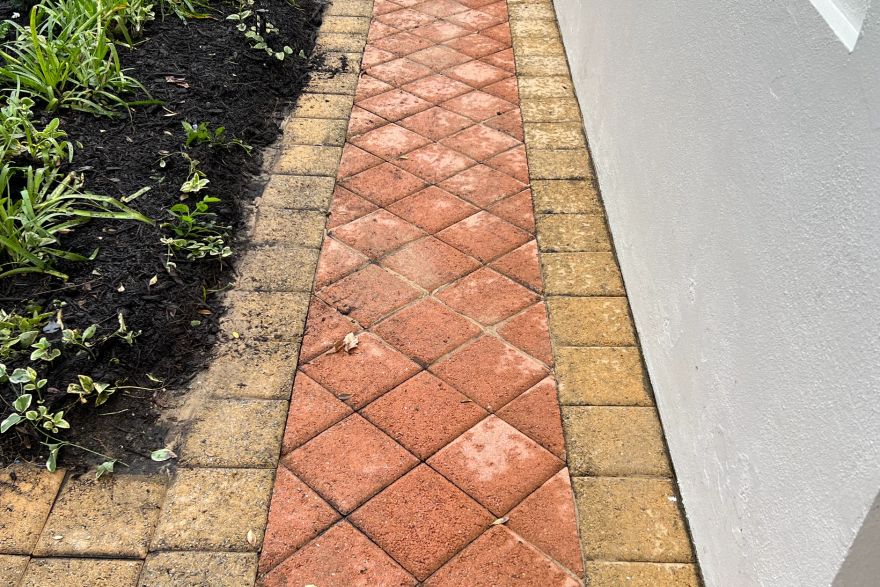 Before and after cleaning on brick pavers: after