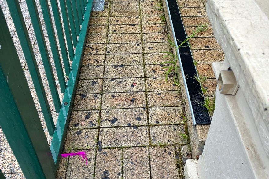 Before and after chewing gum: before