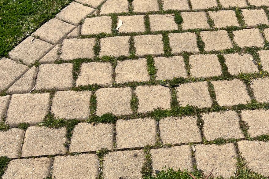 Before and after cleaning on brick pavers · Driveway: before