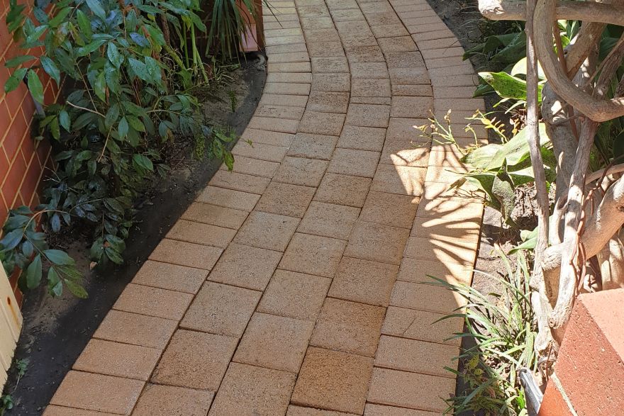 Before and after cleaning on brick pavers: after