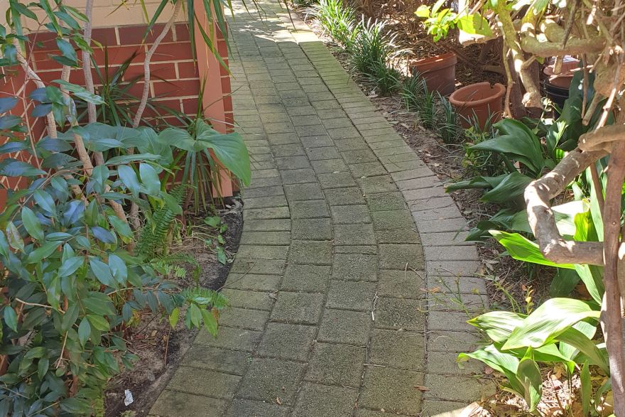 Before and after cleaning on brick pavers: before