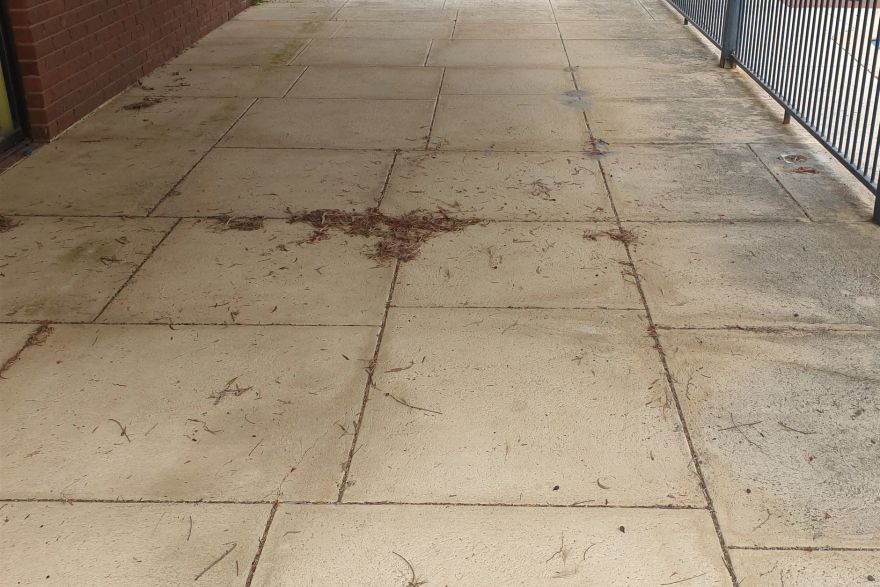 Before and after cleaning on liquid limestone · Patio / alfresco: before