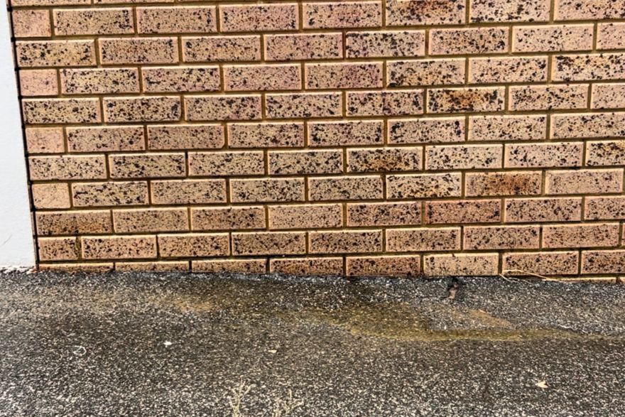 Before and after graffiti: after