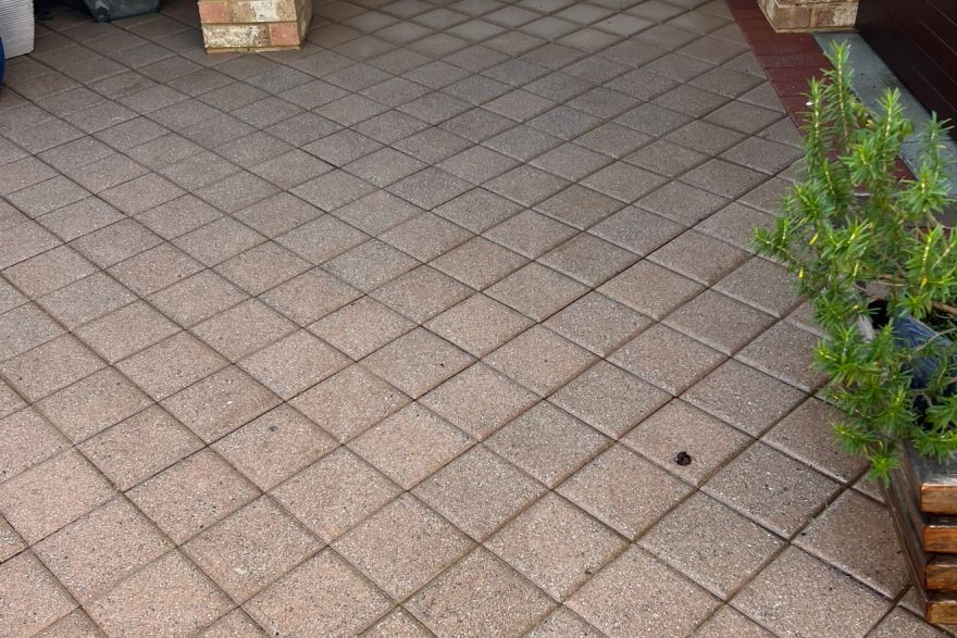 Before and after cleaning on brick pavers: after