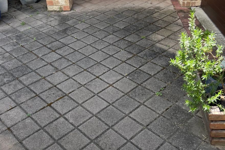 Before and after cleaning on brick pavers: before