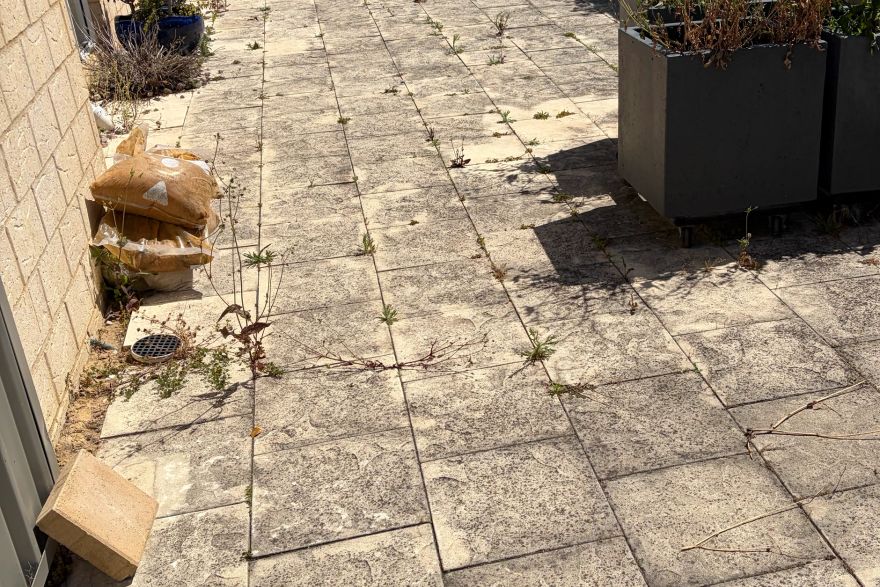 Before and after cleaning on sandstone pavers: before