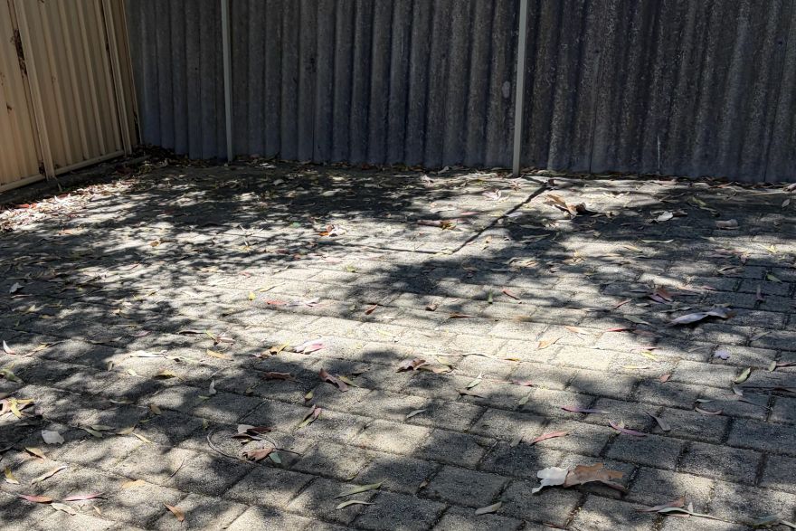 Before and after cleaning on brick pavers: before