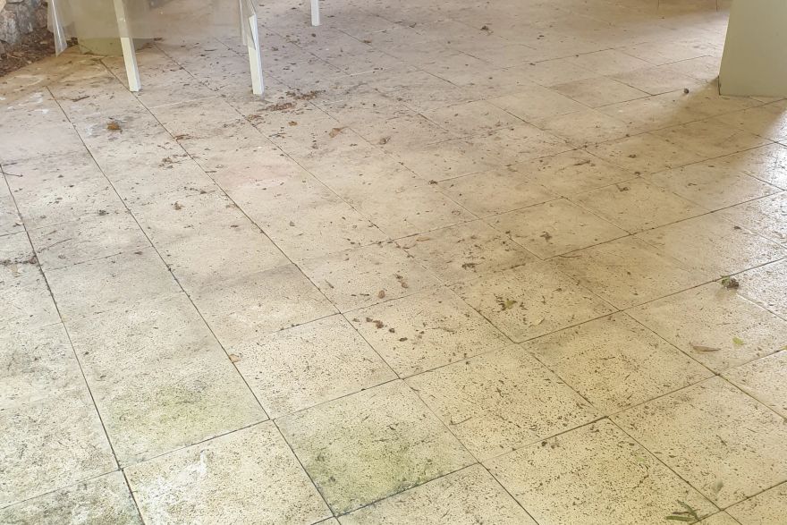 Before and after cleaning on sandstone pavers: before