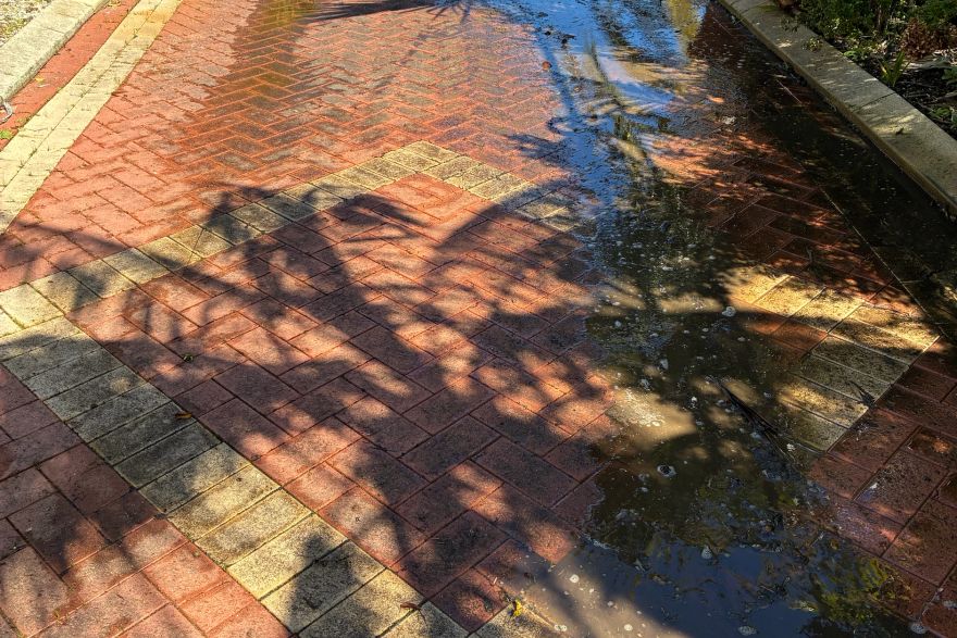 Before and after cleaning on brick pavers · Driveway: before