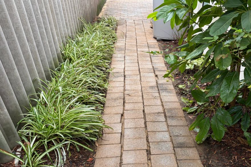 Before and after cleaning on brick pavers · Path: after