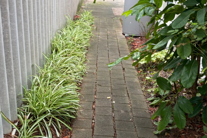 Before and after cleaning on brick pavers · Path: before
