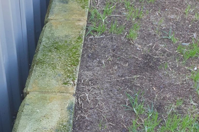 Before and after cleaning on limestone block: before