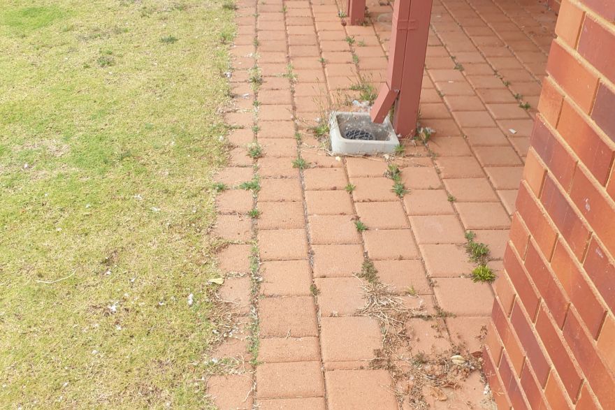 Before and after cleaning on brick pavers: before