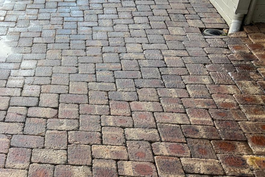 Before and after cleaning on brick pavers: after