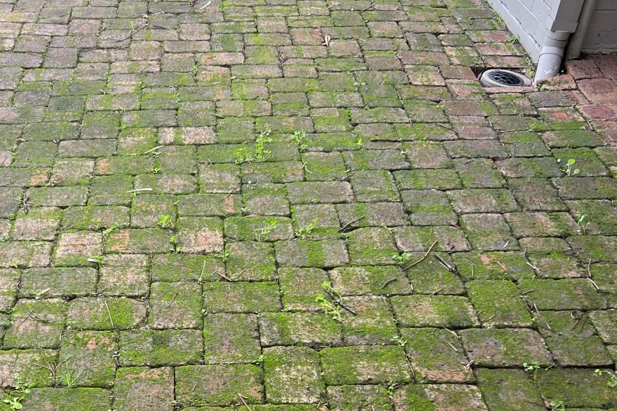 Before and after cleaning on brick pavers: before