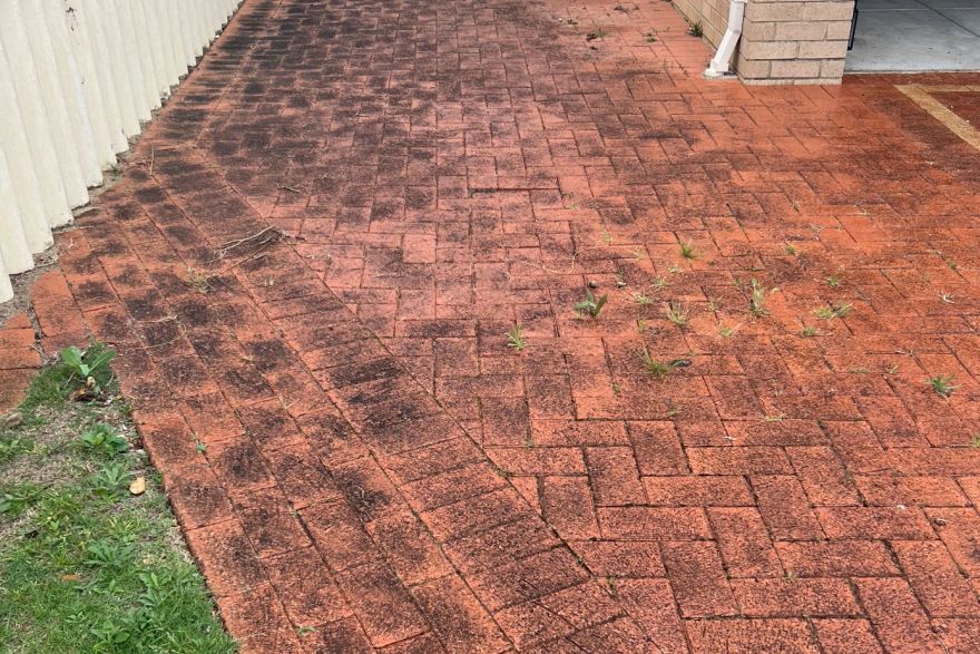 Before and after cleaning on brick pavers: before