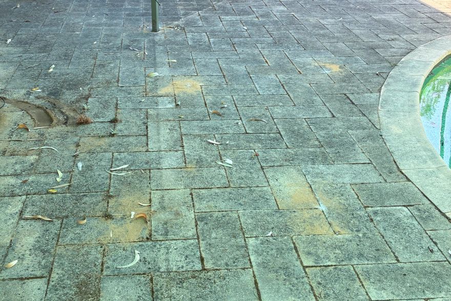 Before and after cleaning on brick pavers · Poolside: before