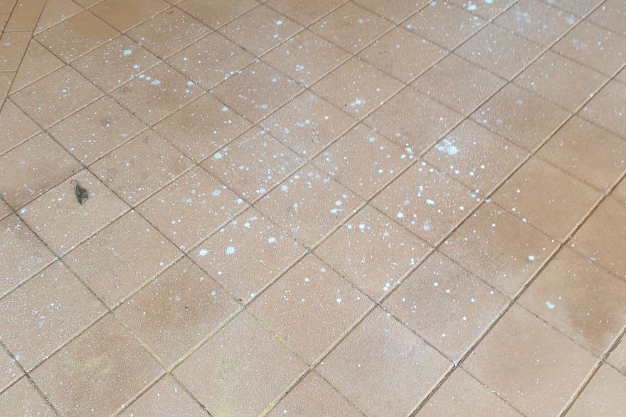Before and after paint removal on brick pavers · Patio / alfresco: before
