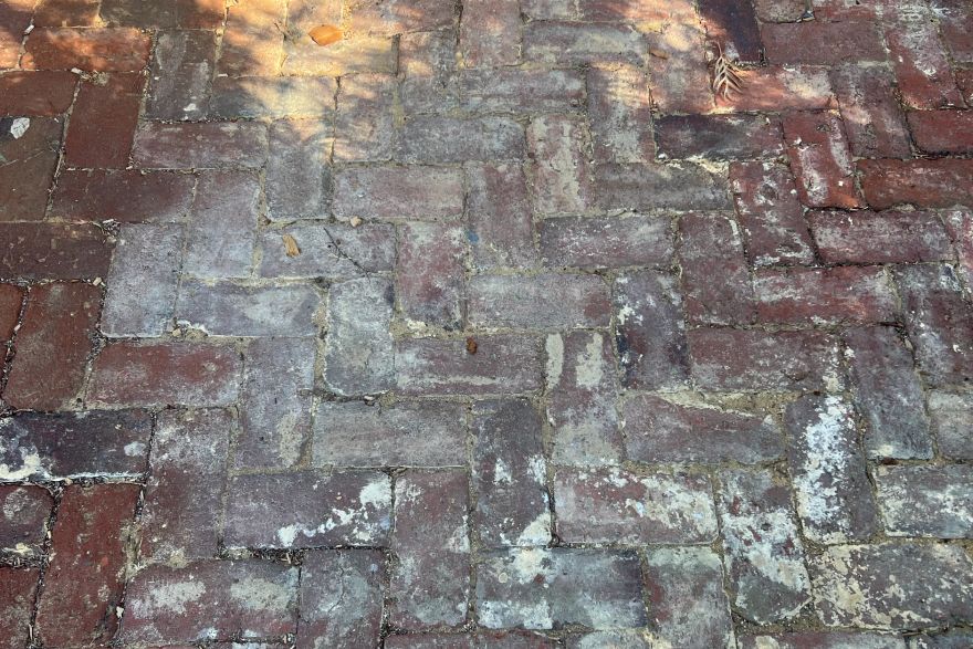 Before and after cleaning on brick pavers: before