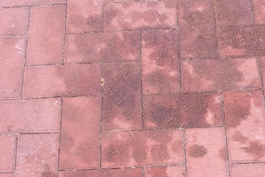 Before and after oil stains on brick pavers: before
