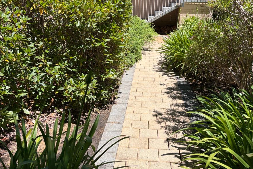 Before and after cleaning on brick pavers: after