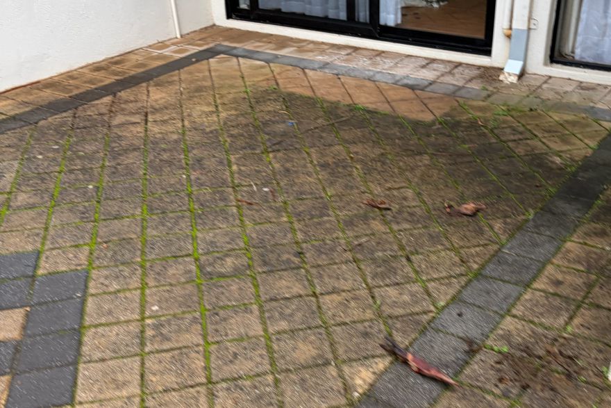 Before and after cleaning on brick pavers: before