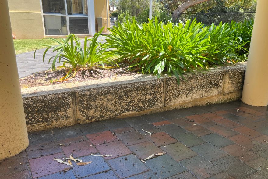 Before and after cleaning on limestone block: before