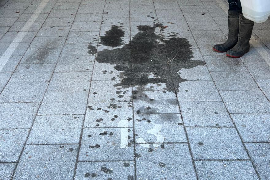 Oil stains on paving: before